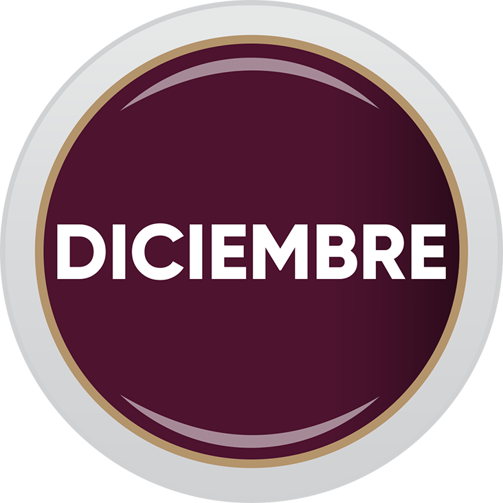 Boletín Digital Diciembre 2025