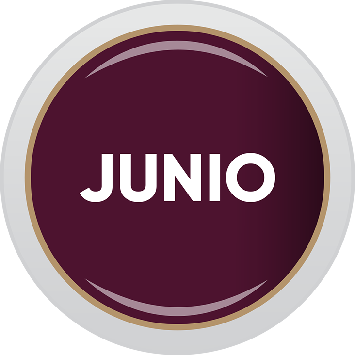 Boletín Digital Junio 2025