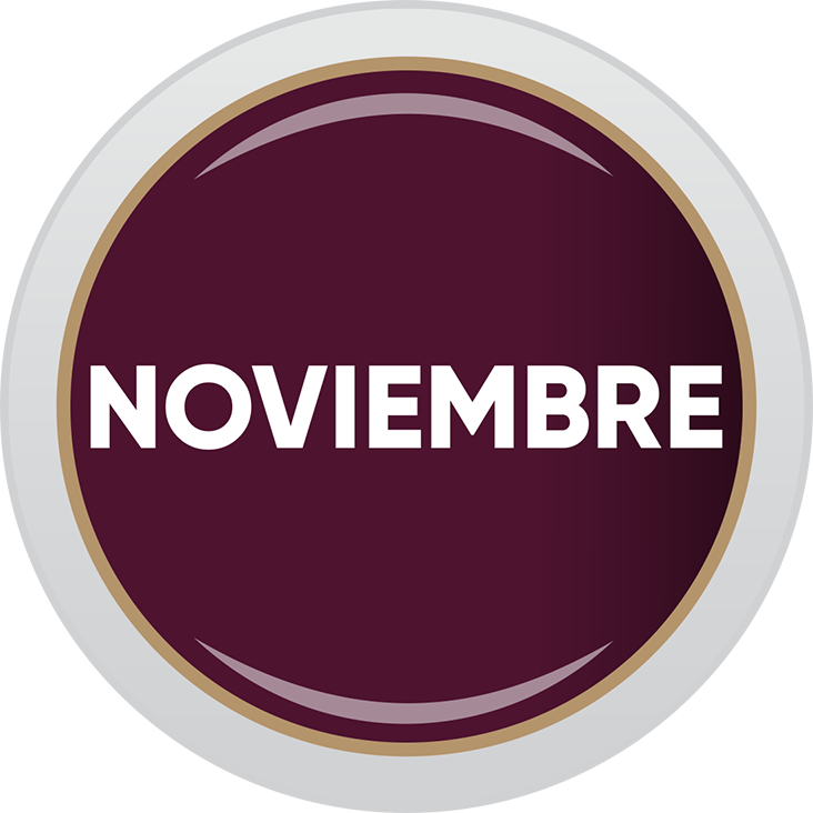 Boletín Digital Noviembre 2025