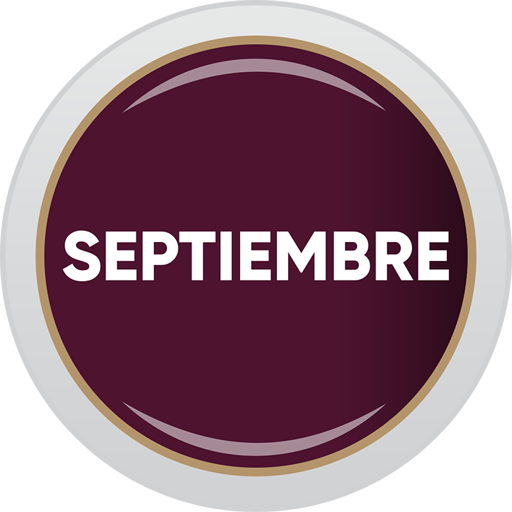 Boletín Digital Septiembre 2025