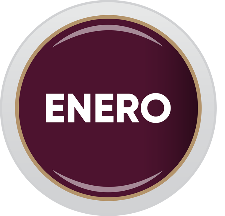 Boletín Digital Enero 2026